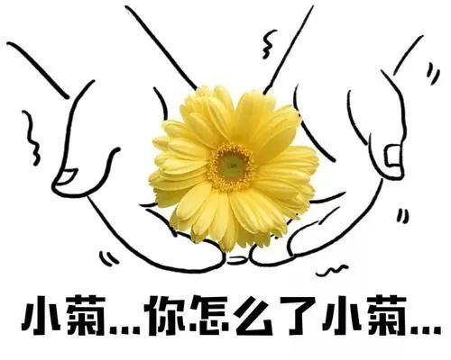 肛肠界的四大金刚