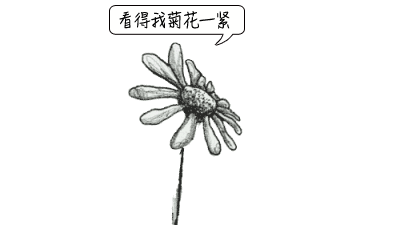 痔疮和肛裂的区别