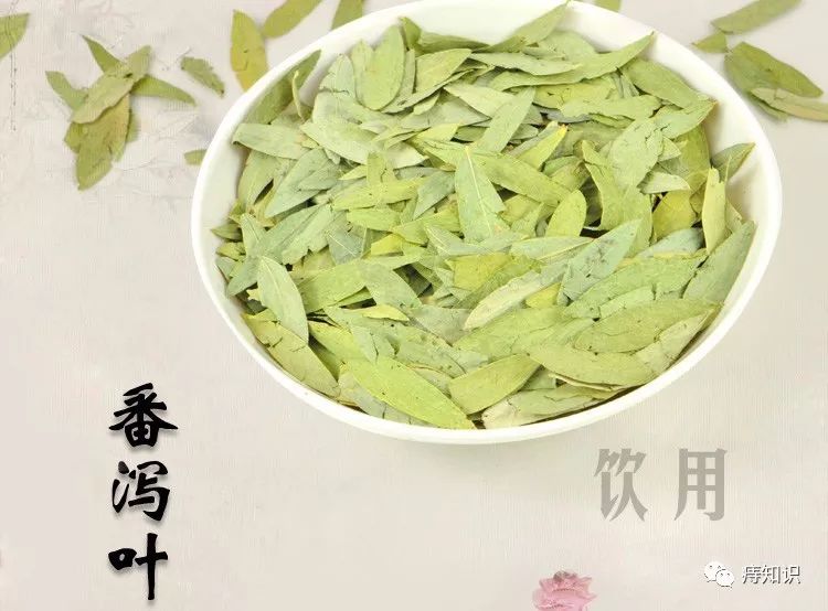 番泻叶:不可久服的泻药