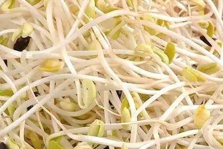 长寿的秘密