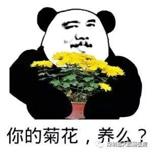 6个坏习惯让你屁股长痔疮